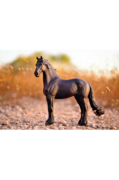 FRIESIAN STALLION