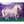 Aurora- Unicorn