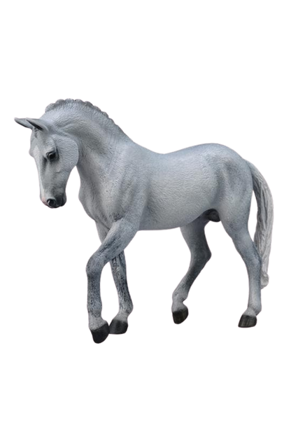 GREY TRAKEHNER STALLION