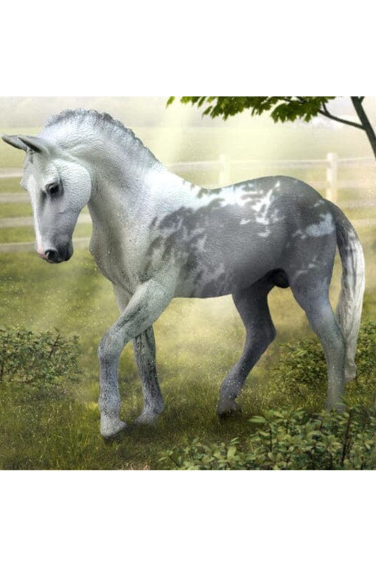 GREY TRAKEHNER STALLION