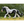Gypsy Mare