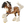 GYPSY VANNER