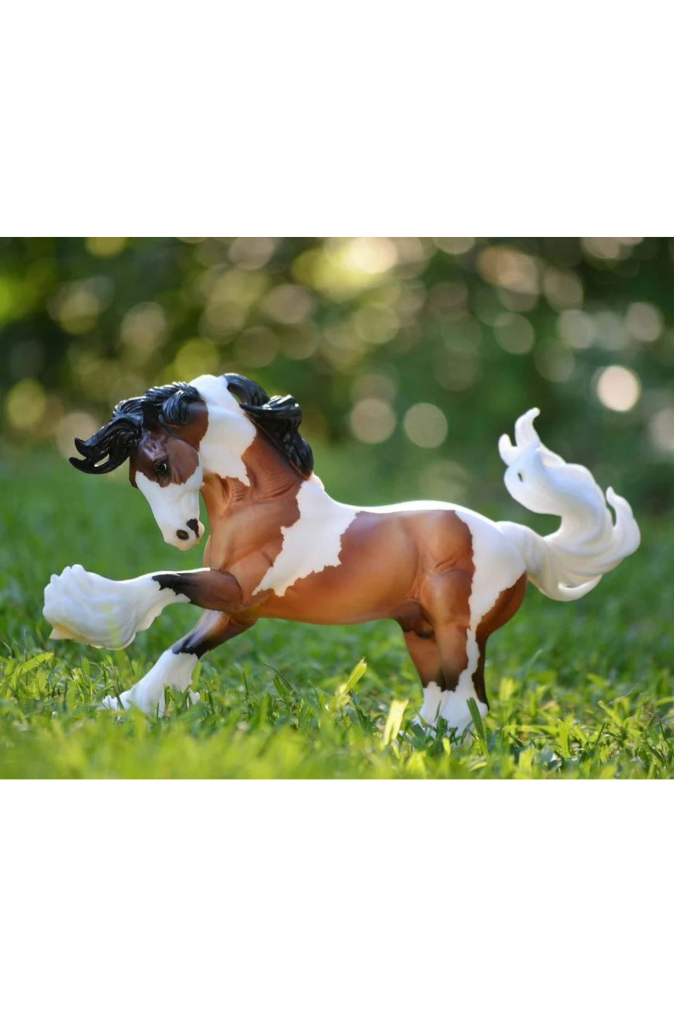 GYPSY VANNER