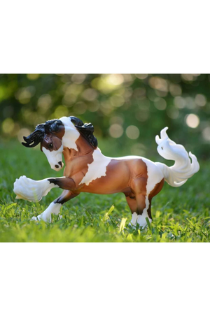 GYPSY VANNER