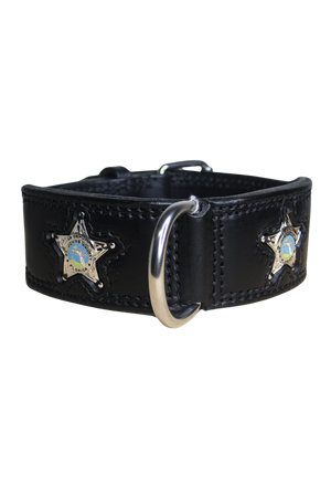 Black leather dog collar with metal buckle and decorative silver star accents.