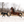 Wild & Free Horse & Foal Set