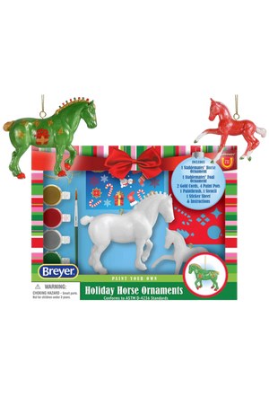 2024 Paint Your Own Ornament Craft Kit