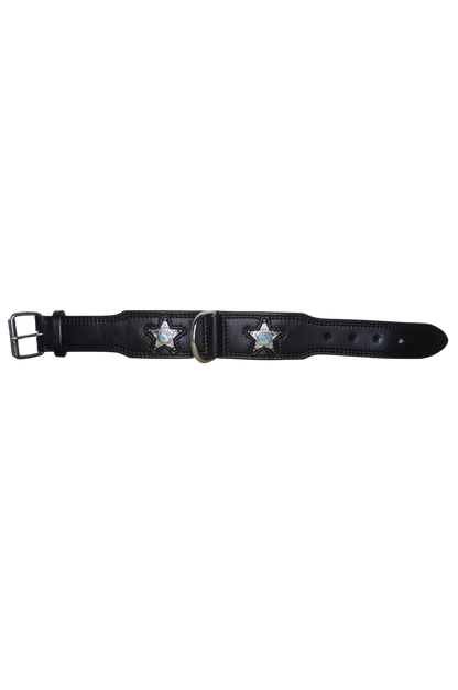 TS POLICE DOG COLLAR