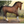 Bay Warmblood Stallion