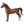 American Saddlebred Stallion