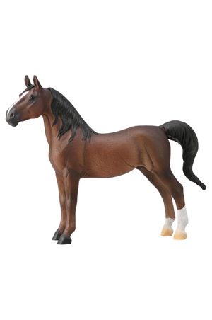 American Saddlebred Stallion