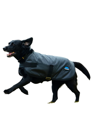 WB Comfitec Classic H2O Dog Coat -F2026