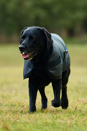 WB Comfitec Classic H2O Dog Coat -F2026