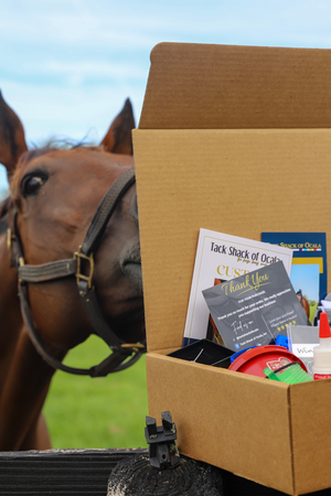 Box of horse tack and supplies with a horse in the background
