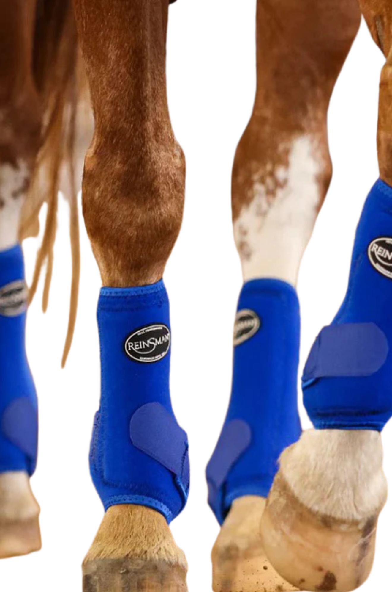 reinsman leg protection