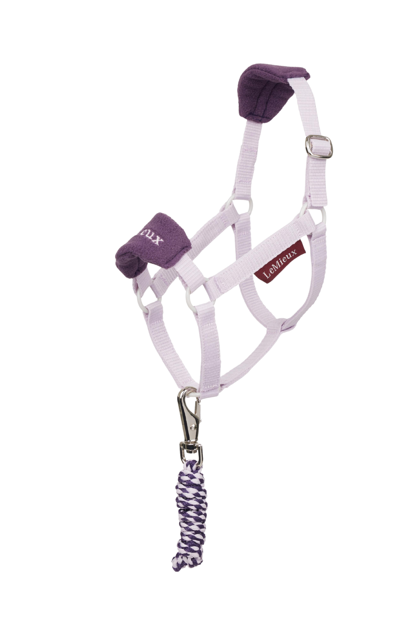 Horse halter with purple accents and a matching lead rope on a white background