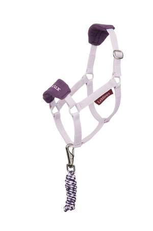 Horse halter with purple accents and a matching lead rope on a white background