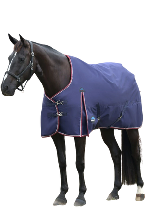 Horse wearing a blue blanket on a white background