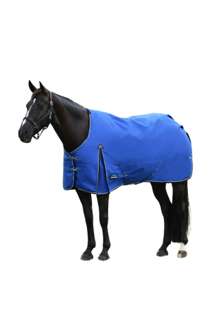 Horse wearing a blue blanket on a white background