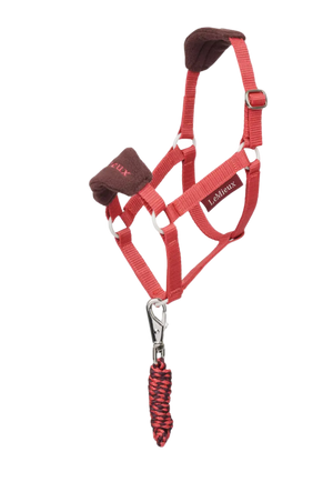 Red horse halter with brown accents and a matching lead rope on a white background