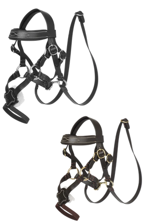 Two horse halters on a white background