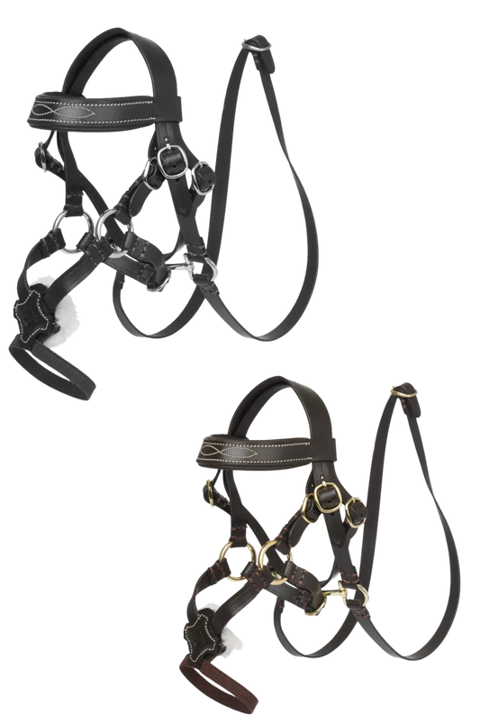 Two horse halters on a white background