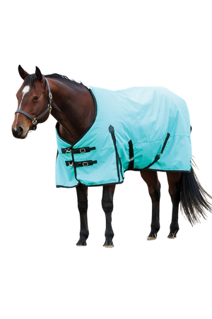 Horse wearing a light blue rug on a white background