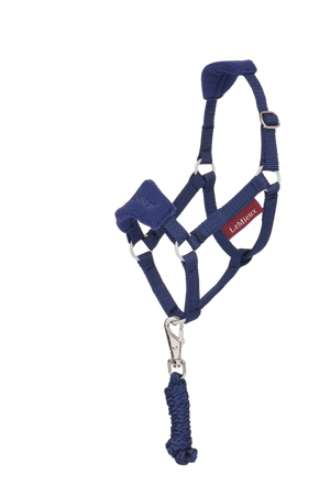 Navy blue horse halter with rope lead on a white background