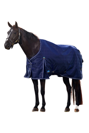Horse wearing a blue blanket on a white background