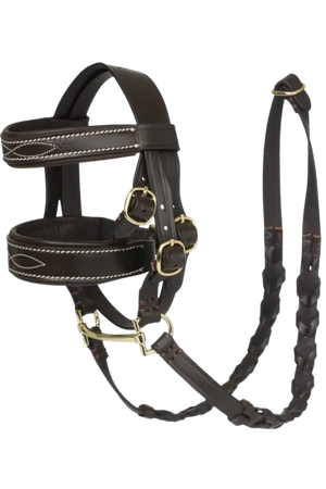 Black leather horse bridle with gold hardware on a white background
