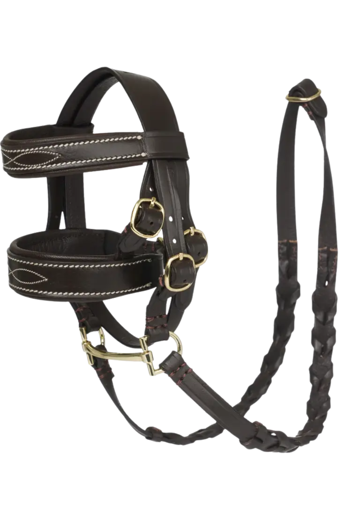 Black leather horse bridle with gold hardware on a white background