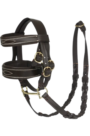 Black leather horse bridle with gold hardware on a white background