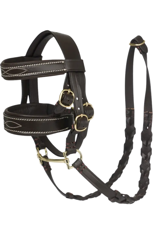 Black leather horse bridle with gold hardware on a white background
