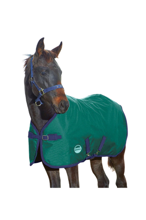 Horse wearing a green and purple blanket on a white background