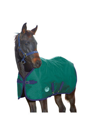 Horse wearing a green and purple blanket on a white background