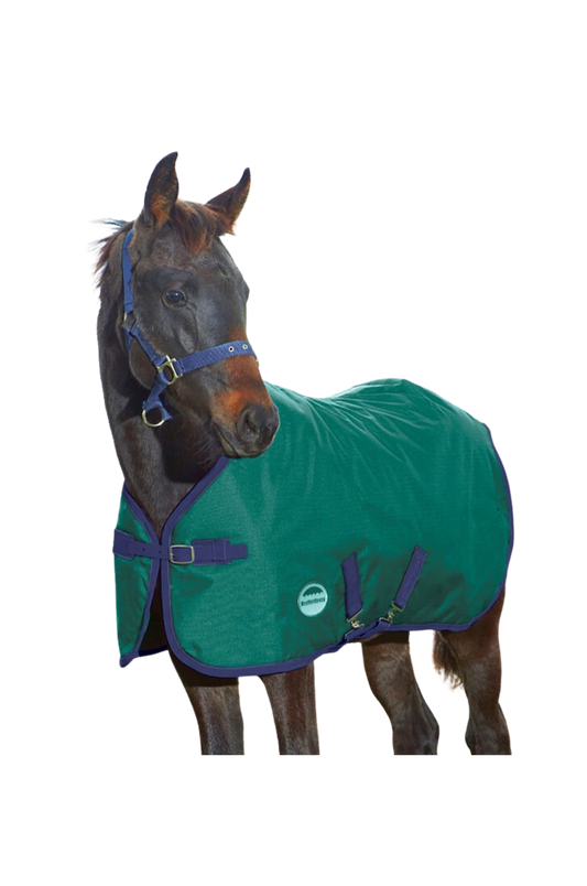 Horse wearing a green and purple blanket on a white background