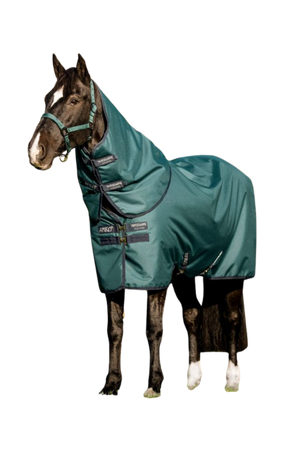 Horse wearing a green protective blanket on a white background