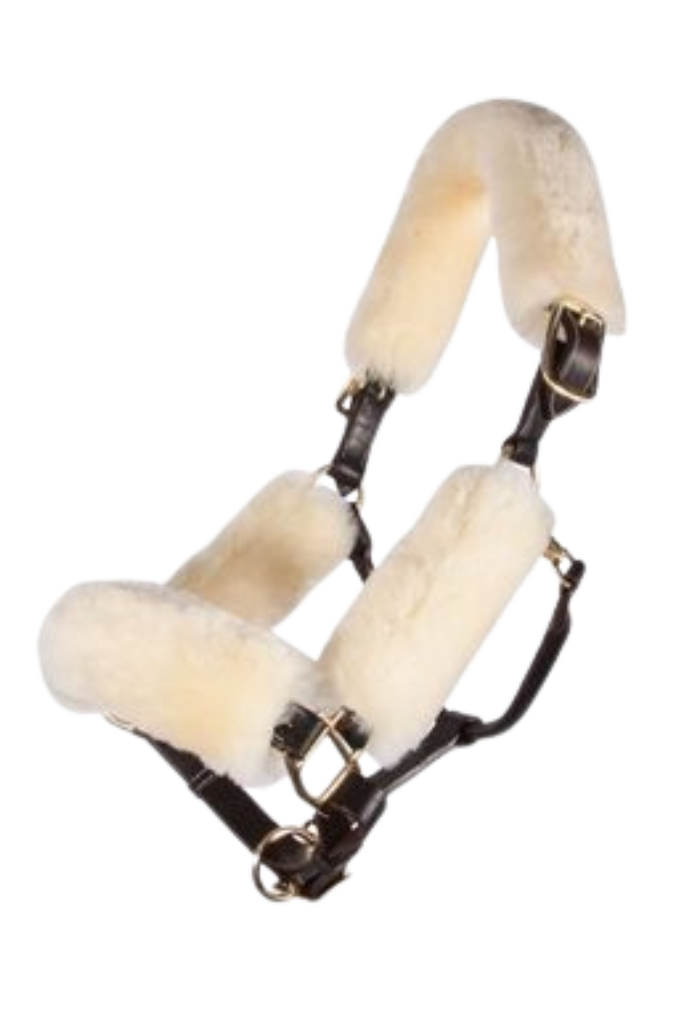 Horse halter with white fleece padding on a white background