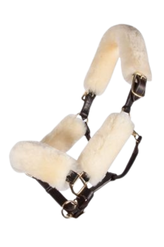 Horse halter with white fleece padding on a white background