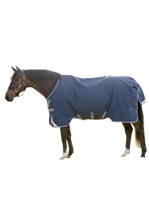Horse wearing a blue blanket on a white background