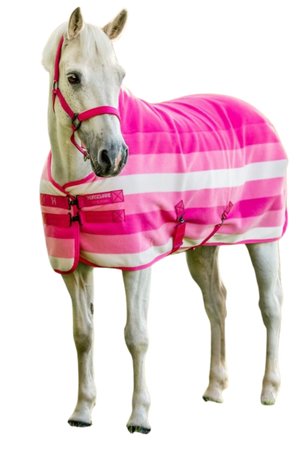 White horse wearing a pink and white striped rug on a white background