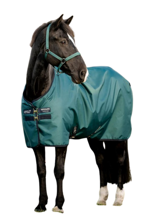 horse blanket
