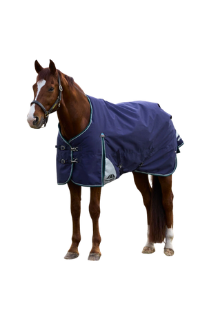 Horse wearing a blue blanket on a white background