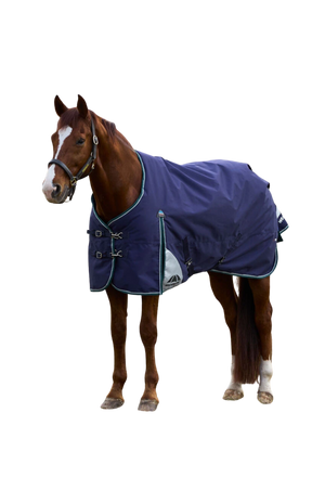 Horse wearing a blue blanket on a white background
