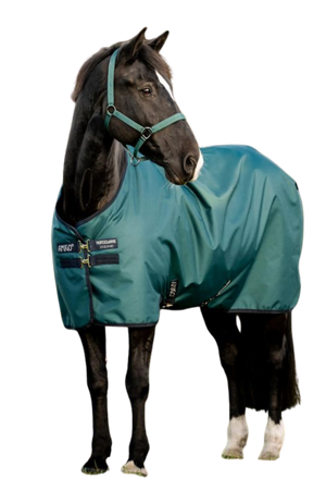 Horse wearing a teal blanket on a white background