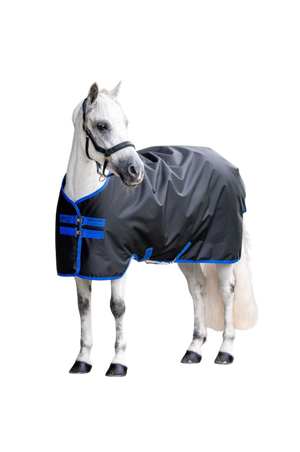 Horse wearing a gray and blue blanket on a white background