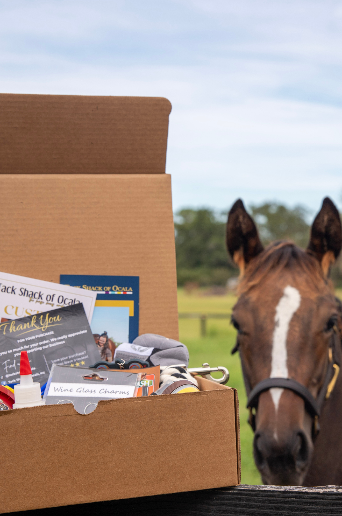 Box of supplies with a horse in the background