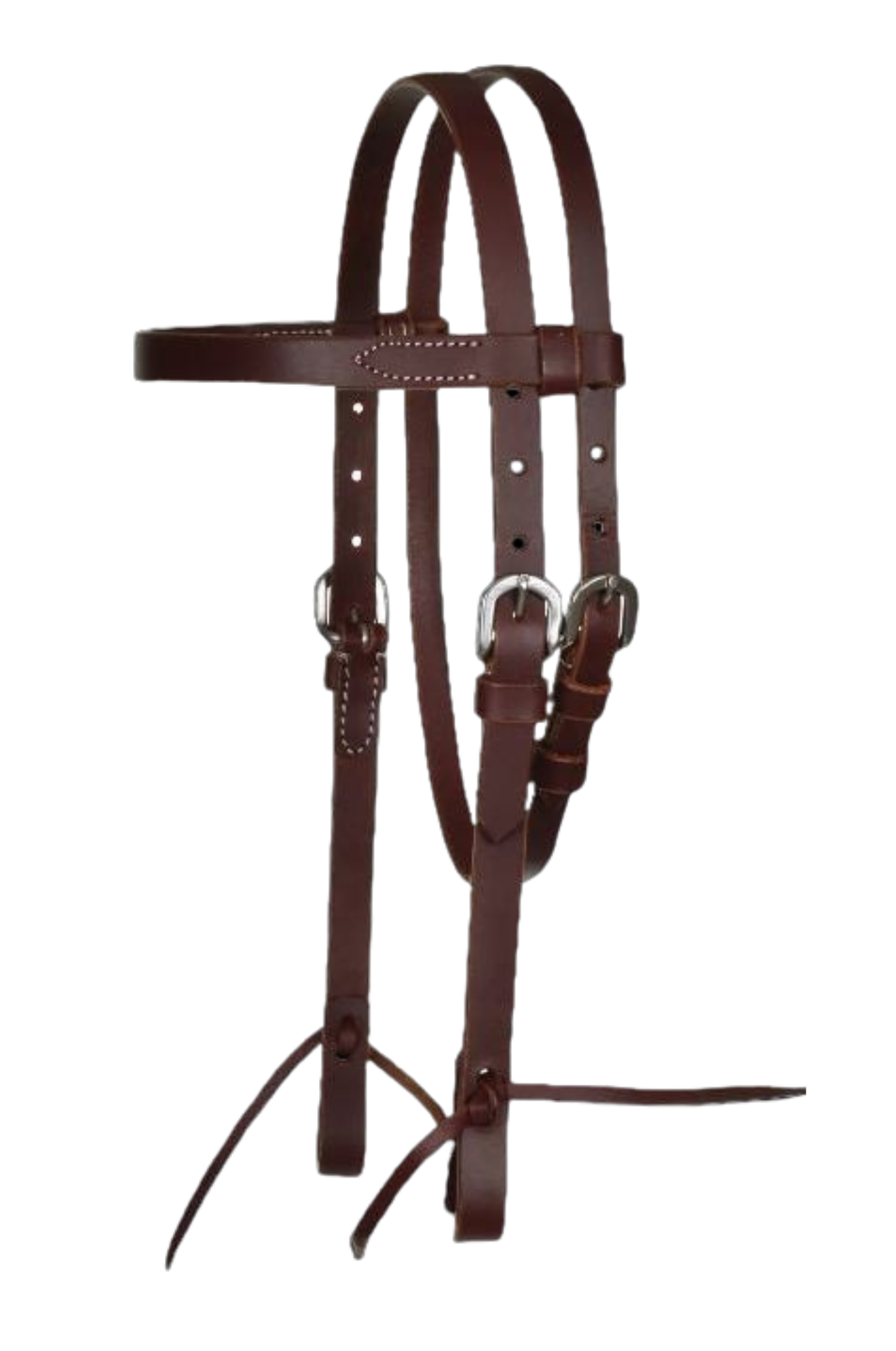 Brown leather bridle on a white background
