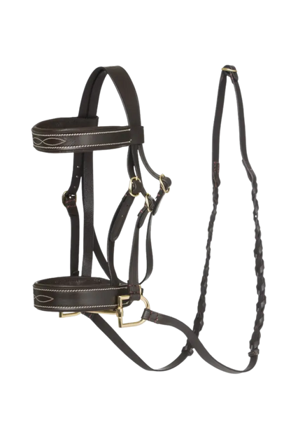 Horse bridle with reins on a white background