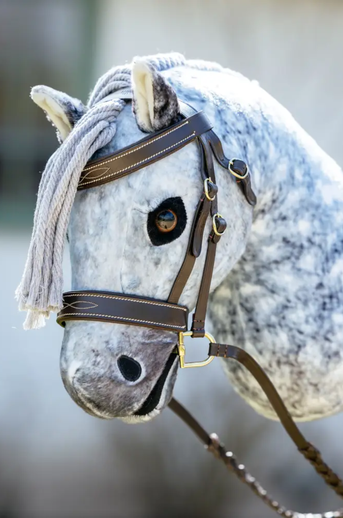 Close-up of a horse's head wearing a bridle with a blurred background